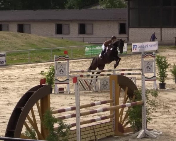 Reit - und Springturnier Hamm-Rhynern 2015