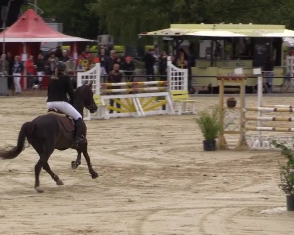 Reit - und Springturnier Hamm-Rhynern 2015