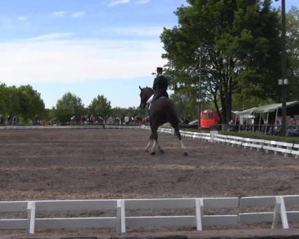 Reit - und Springturnier Hamm-Rhynern 2015