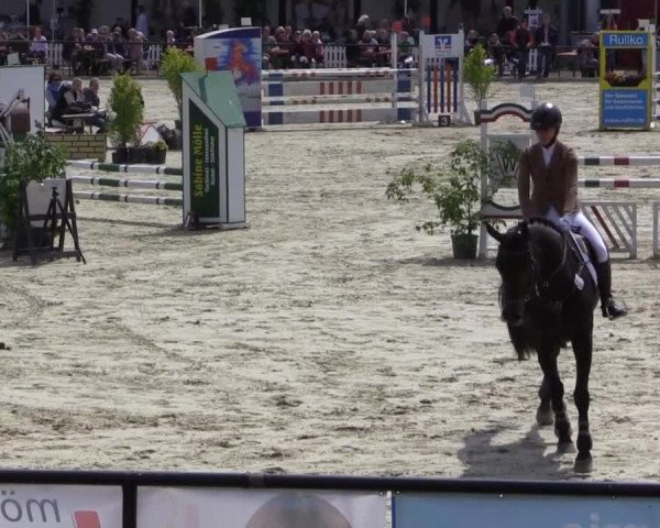 Reit - und Springturnier Hamm-Rhynern 2015