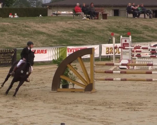 Reit - und Springturnier Hamm-Rhynern 2015