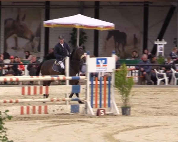 Reit - und Springturnier Hamm-Rhynern 2015
