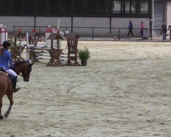 Reit - und Springturnier Hamm-Rhynern 2015