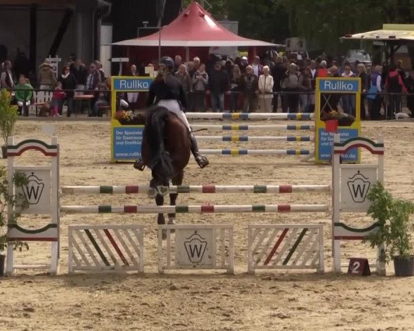 Reit - und Springturnier Hamm-Rhynern 2015