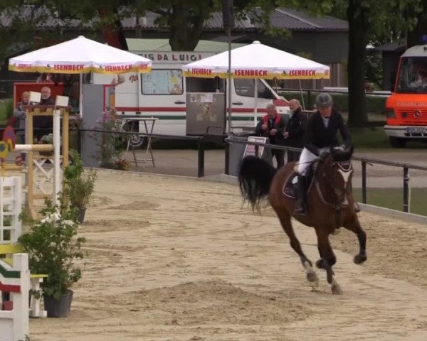 Reit - und Springturnier Hamm-Rhynern 2015