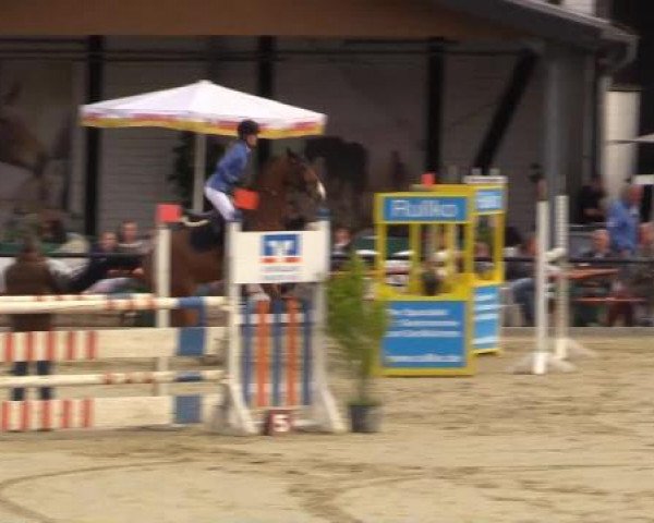 Reit - und Springturnier Hamm-Rhynern 2015
