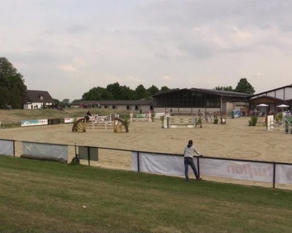 Reit - und Springturnier Hamm-Rhynern 2015