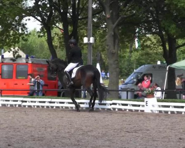Reit - und Springturnier Hamm-Rhynern 2015