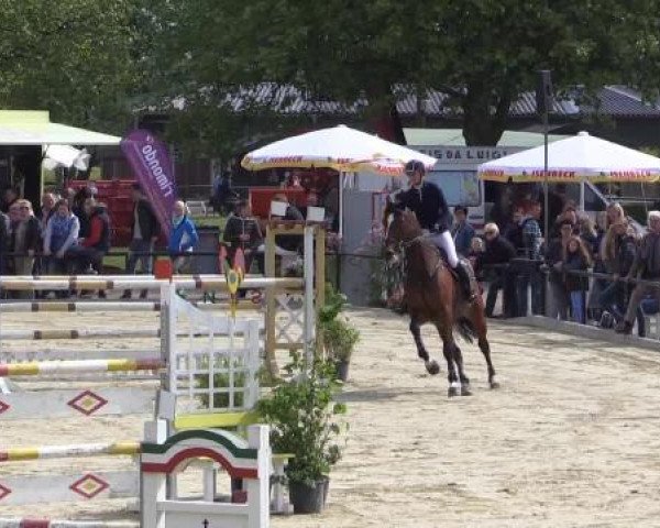 Reit - und Springturnier Hamm-Rhynern 2015