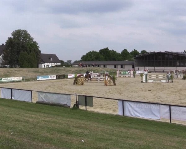 Reit - und Springturnier Hamm-Rhynern 2015