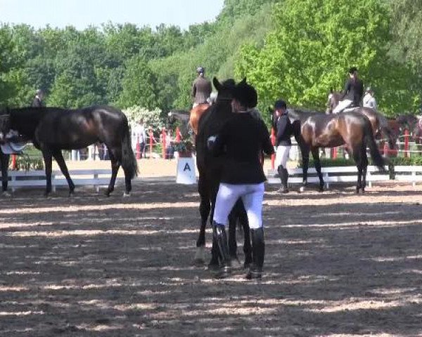 Reit - und Springturnier Hamm-Rhynern 2015