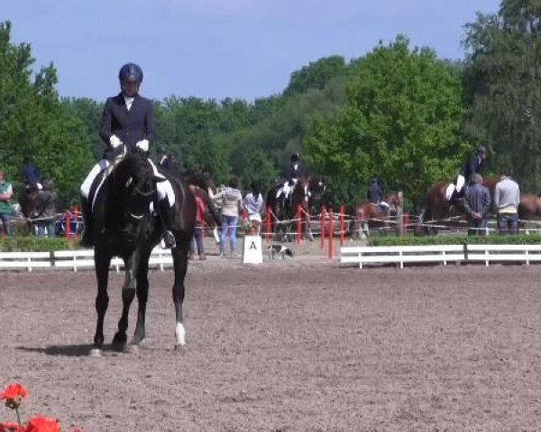 Reit - und Springturnier Hamm-Rhynern 2015