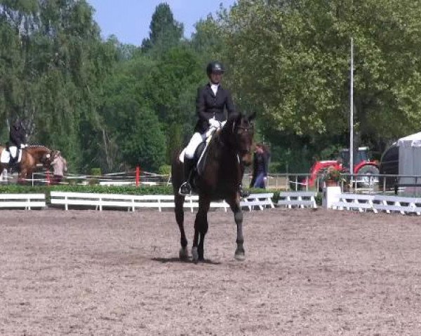 Reit - und Springturnier Hamm-Rhynern 2015