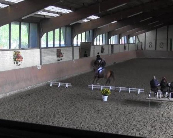 Reit - und Springturnier Hamm-Rhynern 2015