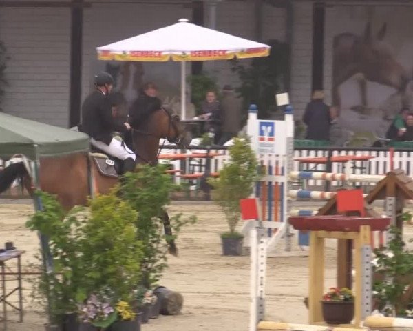 Reit - und Springturnier Hamm-Rhynern 2015