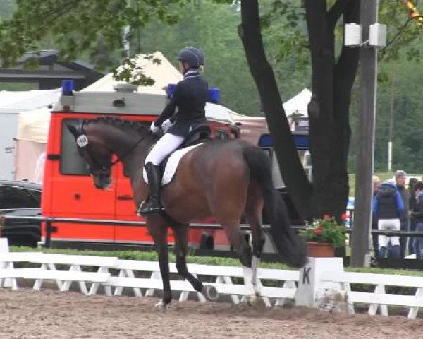Reit - und Springturnier Hamm-Rhynern 2015