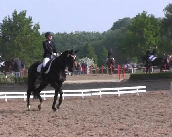 Reit - und Springturnier Hamm-Rhynern 2015