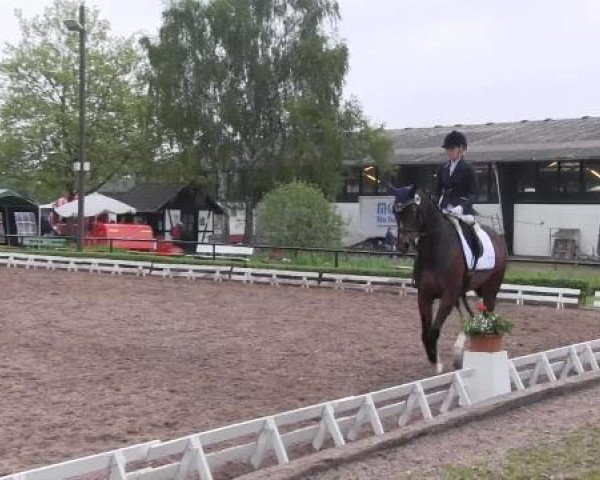 Reit - und Springturnier Hamm-Rhynern 2015