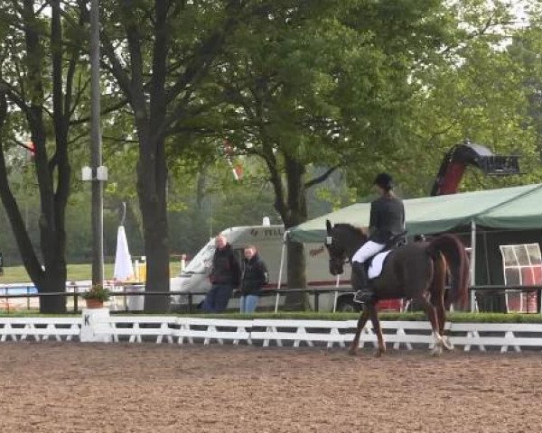 Reit - und Springturnier Hamm-Rhynern 2015