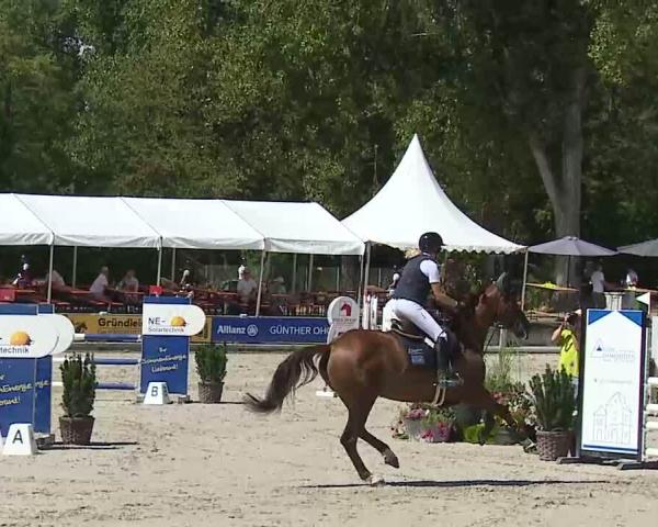 Ride turnering Grafenrheinfeld/Ufr. 2026