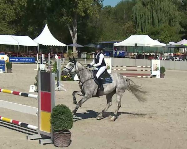Reitturnier Grafenrheinfeld/Ufr. 2026