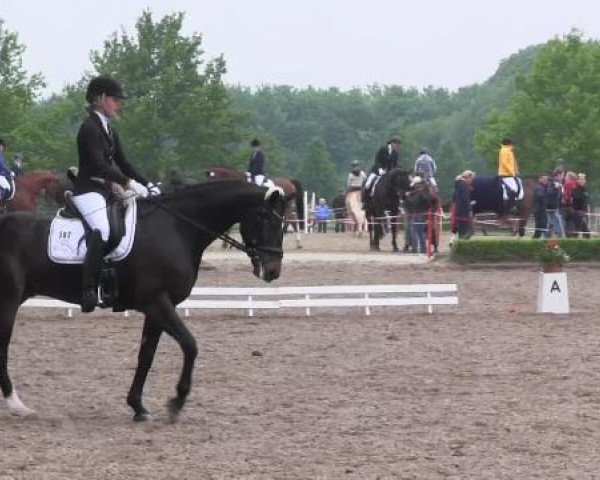 Reit - und Springturnier Hamm-Rhynern 2015