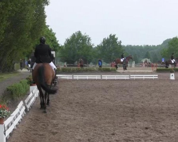 Reit - und Springturnier Hamm-Rhynern 2015