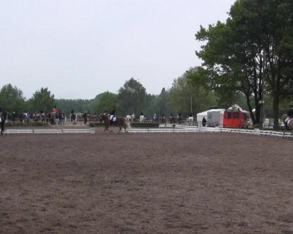 Reit - und Springturnier Hamm-Rhynern 2015