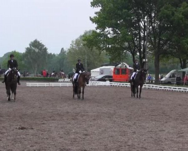 Reit - und Springturnier Hamm-Rhynern 2015