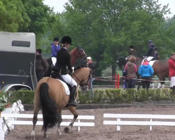 Reit - und Springturnier Hamm-Rhynern 2015