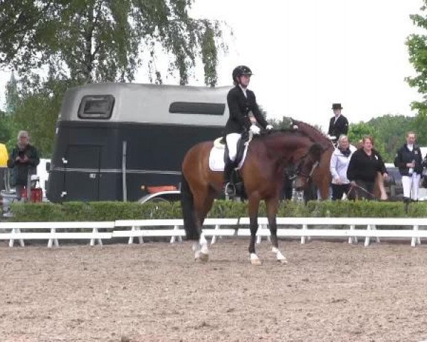 Reit - und Springturnier Hamm-Rhynern 2015
