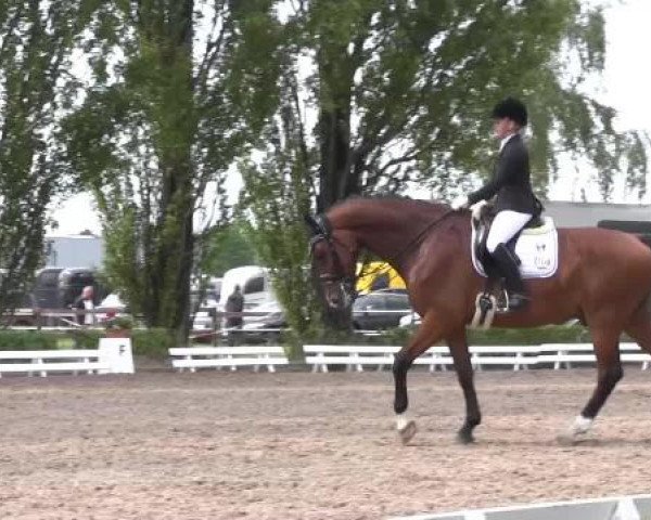 Reit - und Springturnier Hamm-Rhynern 2015