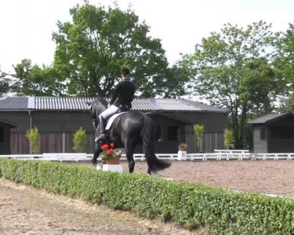 Reit - und Springturnier Hamm-Rhynern 2015