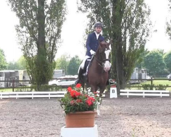 Reit - und Springturnier Hamm-Rhynern 2015