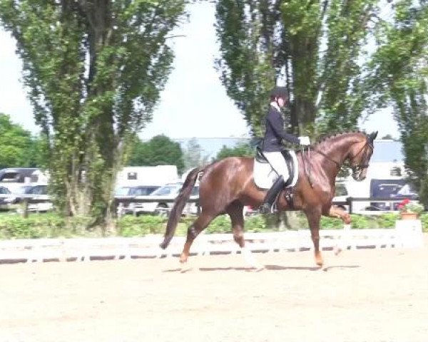 Reit - und Springturnier Hamm-Rhynern 2015