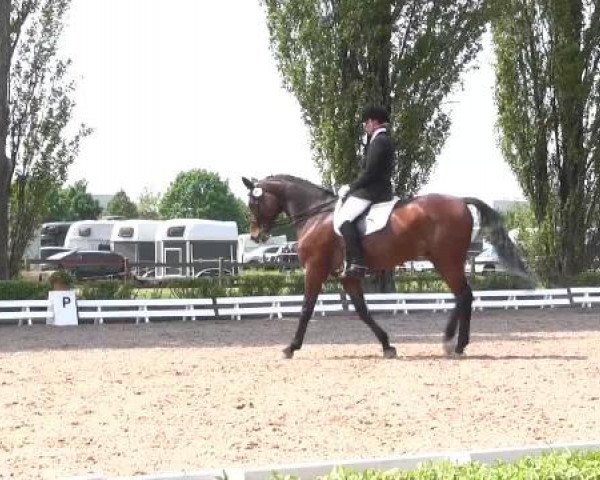 Reit - und Springturnier Hamm-Rhynern 2015