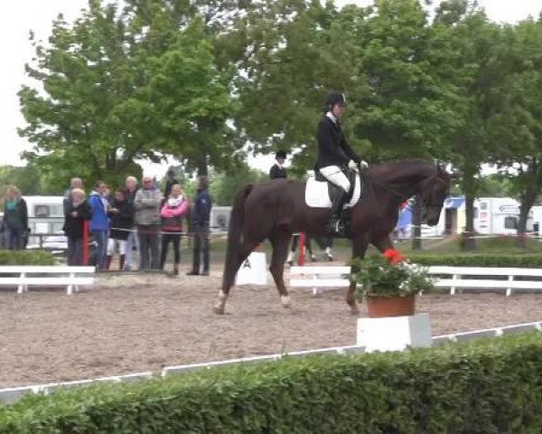 Reit - und Springturnier Hamm-Rhynern 2015