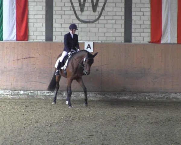 Reit - und Springturnier Hamm-Rhynern 2015