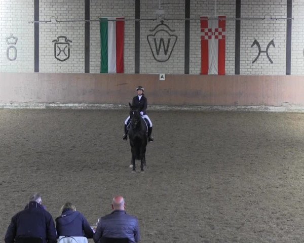 Reit - und Springturnier Hamm-Rhynern 2015