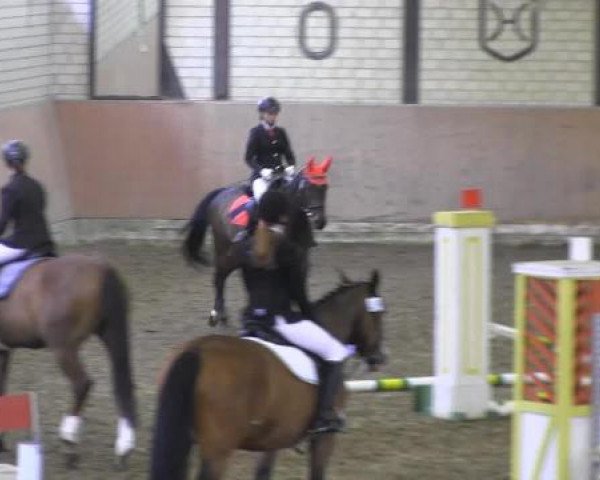Reit - und Springturnier Hamm-Rhynern 2015