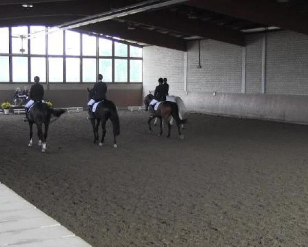 Reit - und Springturnier Hamm-Rhynern 2015