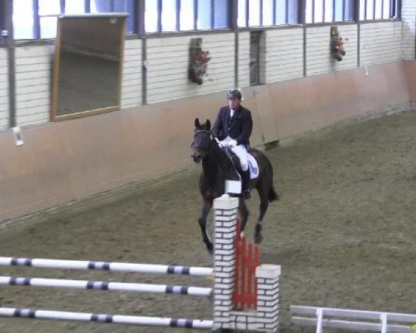 Reit - und Springturnier Hamm-Rhynern 2015