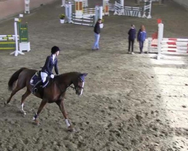 Reit - und Springturnier Hamm-Rhynern 2015
