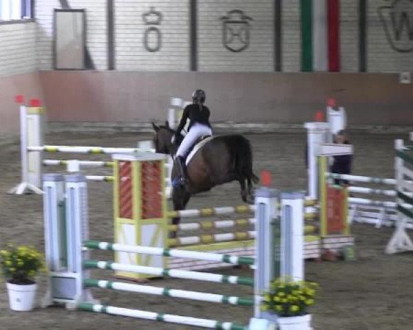 Reit - und Springturnier Hamm-Rhynern 2015