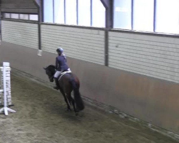 Reit - und Springturnier Hamm-Rhynern 2015