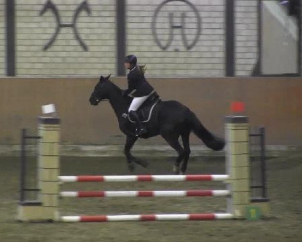 Reit - und Springturnier Hamm-Rhynern 2015