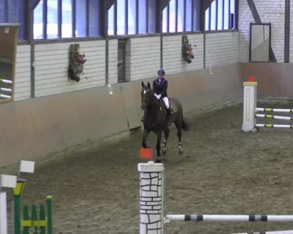 Reit - und Springturnier Hamm-Rhynern 2015