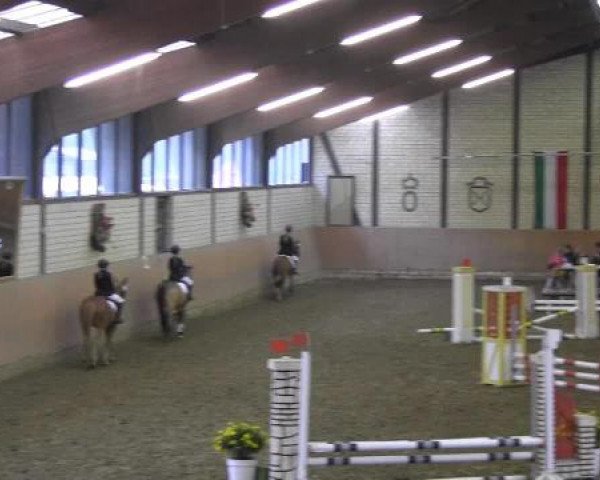 Reit - und Springturnier Hamm-Rhynern 2015