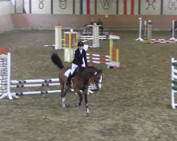 Reit - und Springturnier Hamm-Rhynern 2015