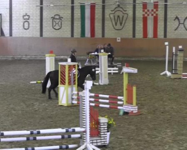 Reit - und Springturnier Hamm-Rhynern 2015
